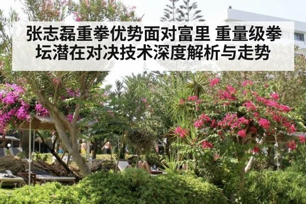 张志磊重拳优势面对富里 重量级拳坛潜在对决技术深度解析与走势